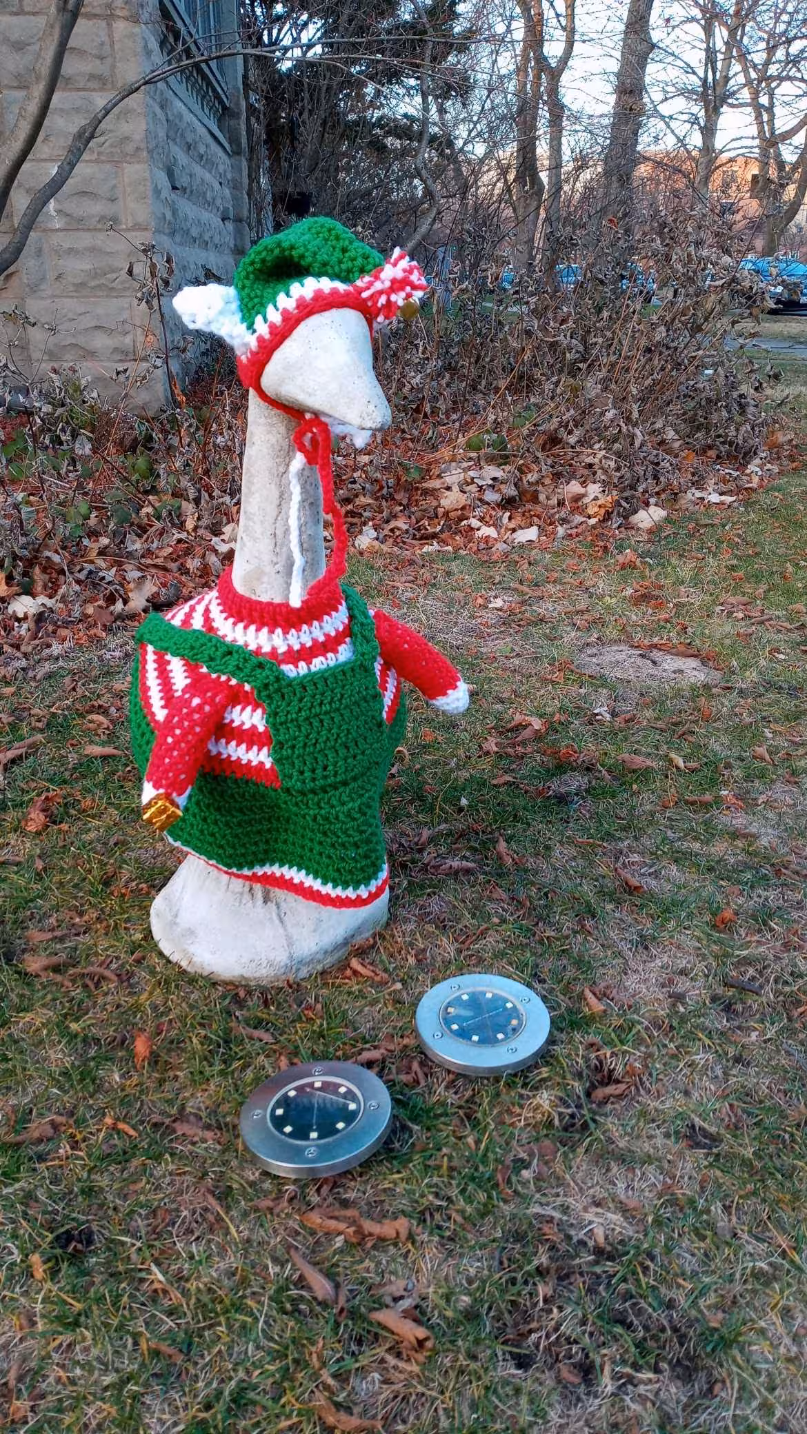 Christmas goose