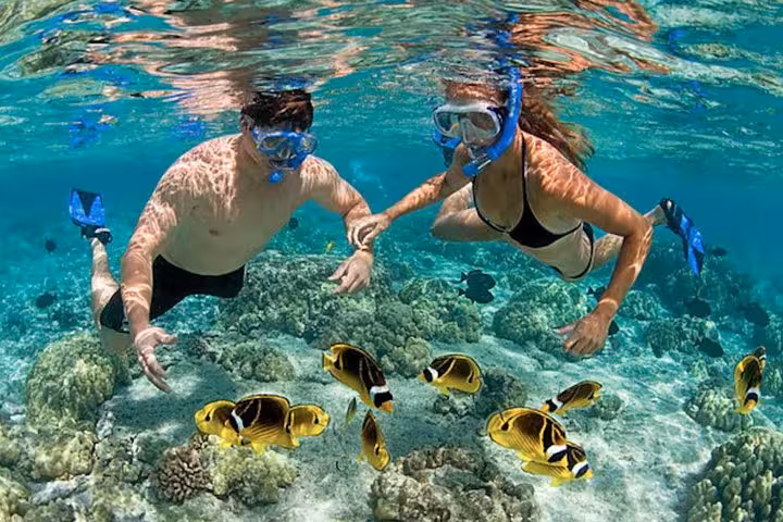 Snorkel